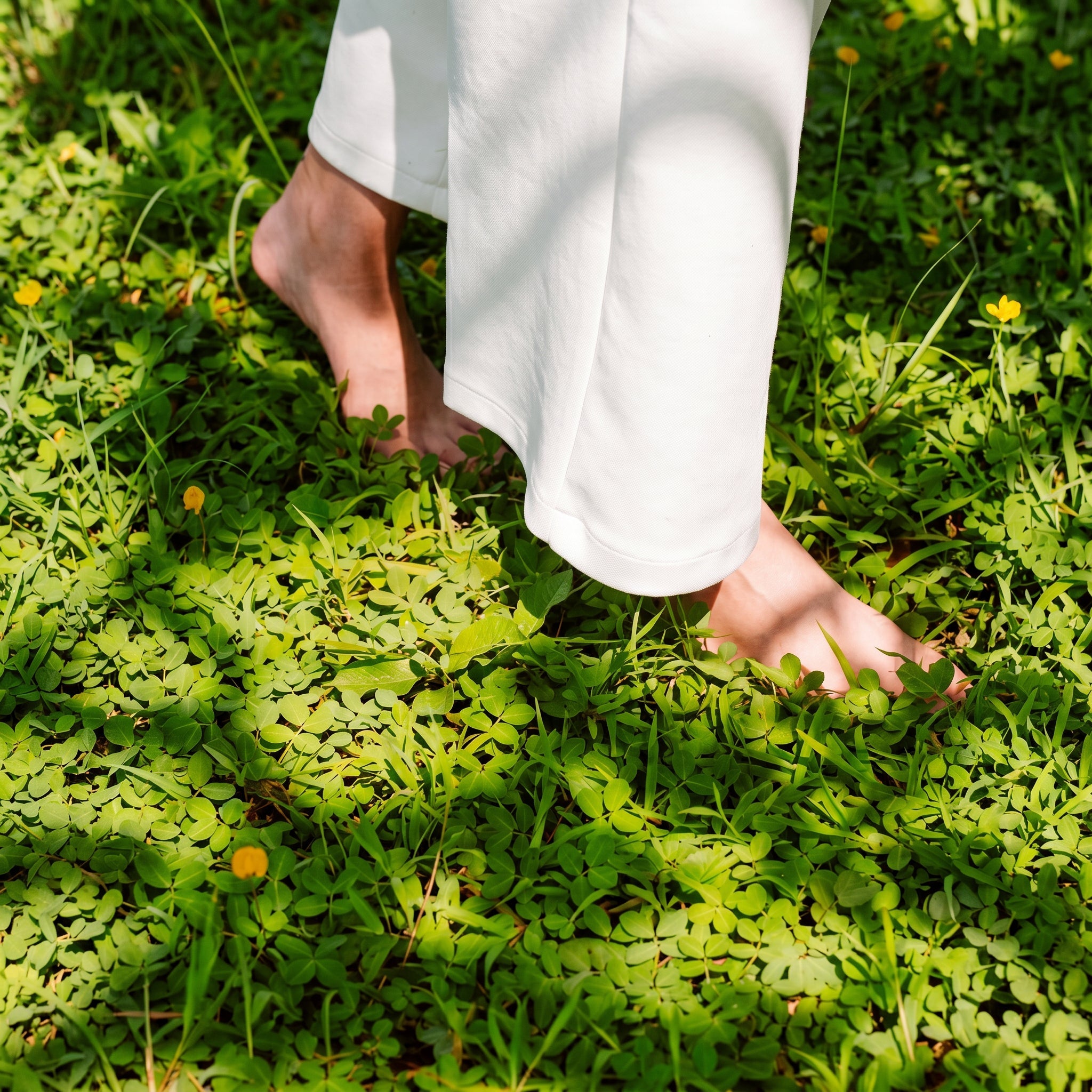 The Fusion Routine: Where Ayurvedic Wisdom Meets Latin American Botanical Power